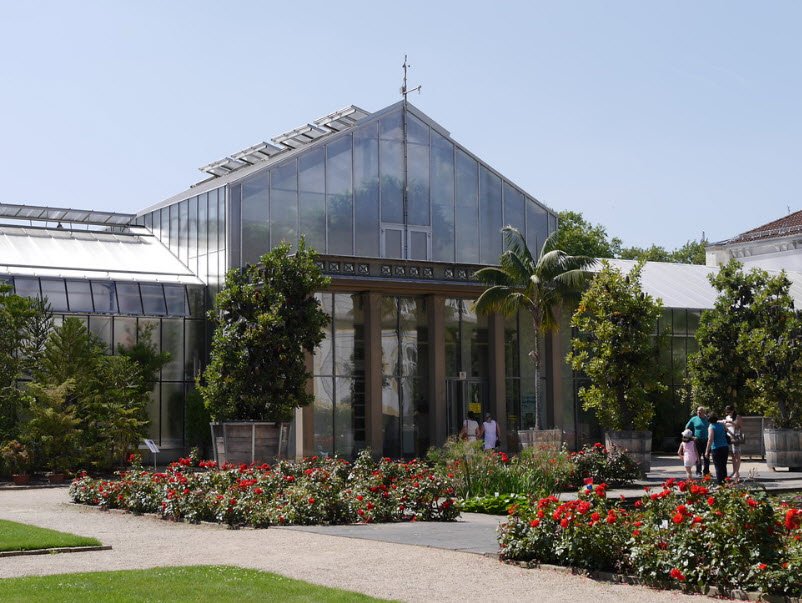 Botanical Garden, Bonn, Bonn, Germany, Germany
